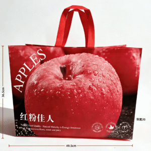 Custom Printed Laminated Non Woven Tote Bag with Handle