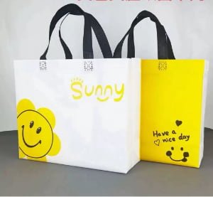 Custom Printed Laminated Non Woven Tote Bag with Handle